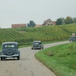 Sur la route des vins en Alsace